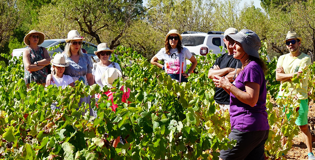 Enoturismo entre los viñedos de Bodegas Gratias